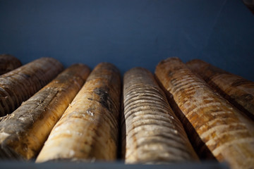 Log conveyor in a plywood factory