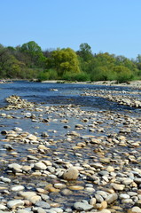 Isteiner Schwellen im Frühjahr
