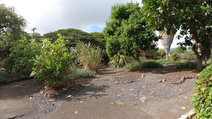 Honolulu from Diamond head national park to honolulu beach in sunset