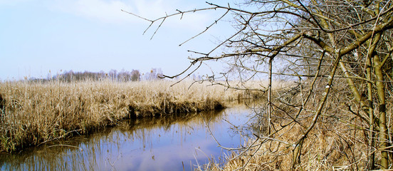 okolice rzeki Narew przy Kruszewo © Mariusz