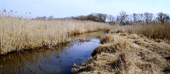 okolice rzeki Narew przy Kruszewo © Mariusz