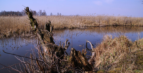 okolice Narwi przy Kruszewo © Mariusz