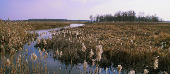 okolice rzeki Narew Przy Kruszewo © Mariusz