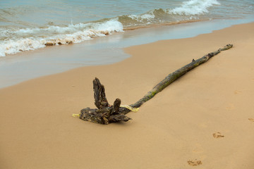 Beach area by the sea