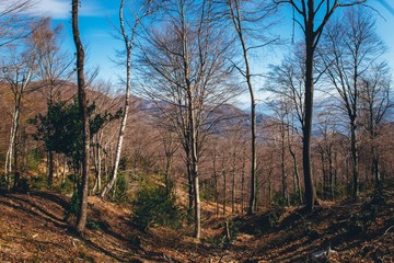 Obraz premium Panorama dell'Alpe Tedesco di Varese