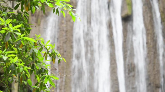 Waterfall water cascade for calm meditation in green leaves. Full HD video clip