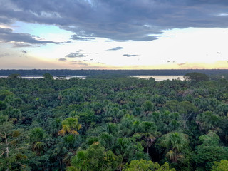 Fototapeta na wymiar Amazon rainforest