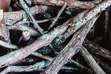 wooden sticks, firewood, wood background