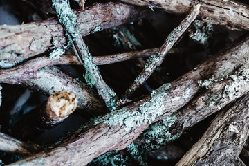 wooden sticks, firewood, wood background