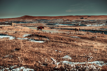 plowed field and mountains