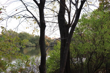 Fototapeta na wymiar New York in her beautiful autumn suit Central Park