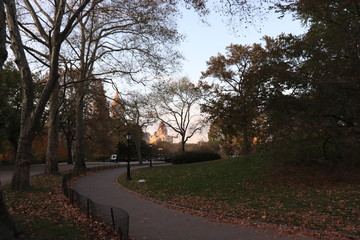 New York in her beautiful autumn suit Central Park