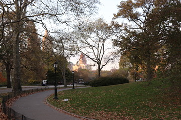 New York in her beautiful autumn suit Central Park