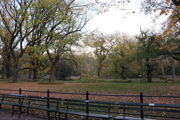 New York in her beautiful autumn suit Central Park
