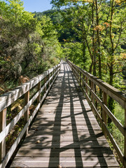 Wooden walkway on the River Mao Canyon hiking trail, Ourense, Galicia, Spain