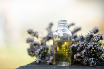 Essential oils and medical flowers herbs on bokeh background.