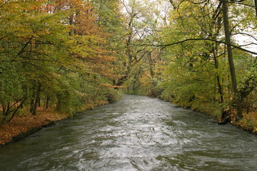 Wald mit Flußlauf