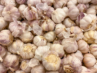 White garlic pile texture. Fresh vegetables on market table closeup photo. Vitamin healthy food spice image.