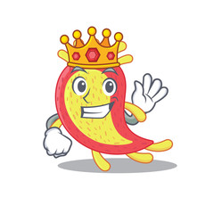 A Wise King of azorhizobium caulinodans mascot design style