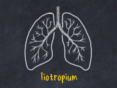 Concept of learning lung diseases. Chalk drawing of lungs with inscription