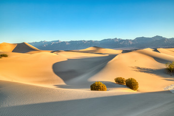 Mesquite Dunes in Death Valley National Park at Sunrise
