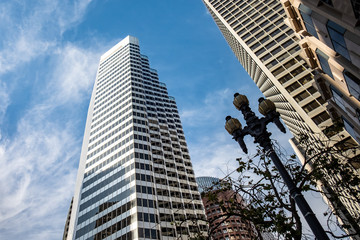 Skyscrapers in San Francisco in summer. Modern Office Buildings, California. - 337645281
