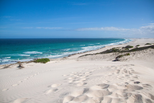 D&uuml;nen im de Hoop Nature Reserve in S&uuml;dafrika