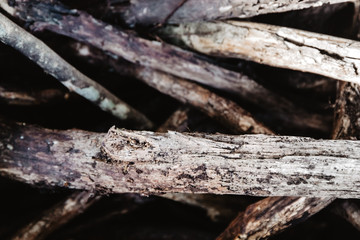 Fototapeta premium wooden sticks, firewood, wood background