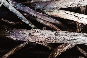 wooden sticks, firewood, wood background