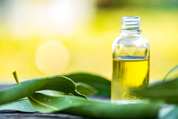 Traditional medicine: Eucalyptus essential oil bottle with leaves, close up on bokeh background.