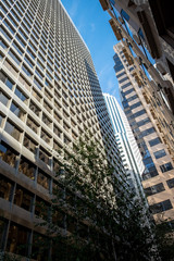 Fototapeta na wymiar Skyscrapers in San Francisco in summer. Modern Office Buildings, California.