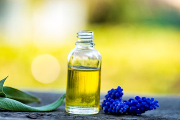 Herbal aroma oil bottle with various drugplant flowers, wooden surface, nature background in blur. Soft focus. Pure natural beauty care.