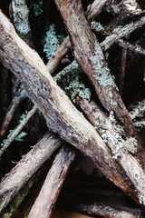 wooden sticks, firewood, wood background