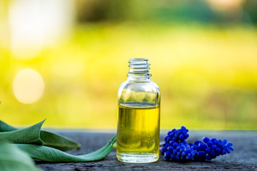 Herbal aroma oil bottle with various drugplant flowers, wooden surface, nature background in blur. Soft focus. Pure natural beauty care.