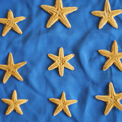 Fototapeta na wymiar an unusual six-pointed starfish looking like a six pointed star among five-pointed starfish. Leadership, uniqueness, think different, teamwork business success. different concept