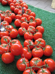 Tomaten