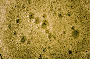 Pictures of many viral or cell models that can be seen by expanding the concept of health and treatment.