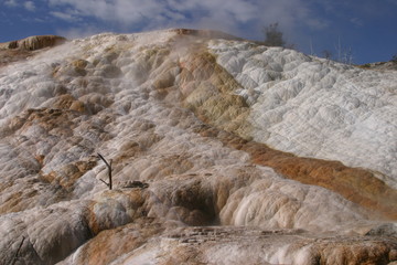 Pallete Spring