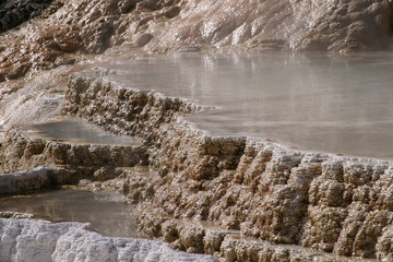Pallete Spring