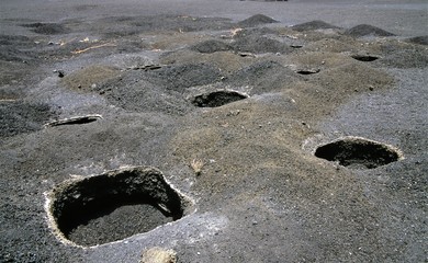 Pflanzlöcher zum Anbau von Wein im vulkanischem Gestein auf der Insel Fogo, Kapverdische Inseln -...