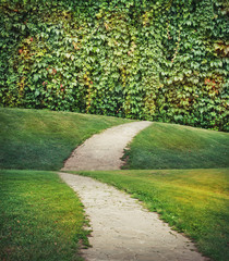 Obraz premium Fairy magic enchanted landscape with road, green meadow and wall with plants