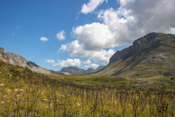 Kogelberg Nature Reserve in Südafrika