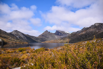 The dry grass field with the lake, snow mountain and cloudy blue sky background on sunny day in Tasmania, Australia