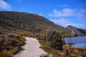 The road near the forest with lake, mountain and cloudy blue sky background on sunny day in Tasmania, Australia