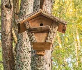 Wooden birdhouse hanging on a tree in the forest