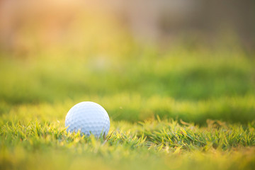 golf ball is on a green lawn in a beautiful golf course