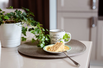 Honey cake. A cup of coffee. Tasty breakfast. A slice of cake with white cream, cream. Honey. Honey recipe.