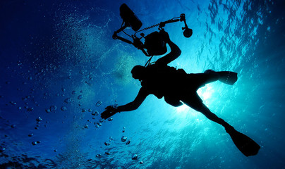 Diver in the deep sea. Under water diving. Silhouette of swimming diver underwater.