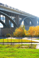 bridge in autumn