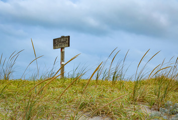 Island Beach State Park is located at in southern New Jersey at the popular Jersey shore and...